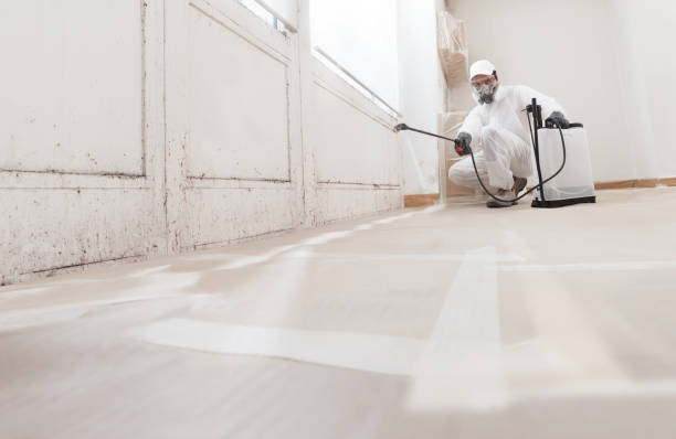 24/7 Emergency Attic Mold Removal experts in Sammamish, WA