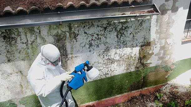Trusted Mold Inspection service in Sammamish, WA - Cheap Mold Removal
